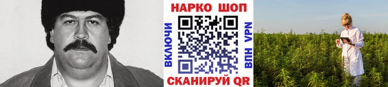 Наркошоп купить COCAIN  Каннабис  Меф мяу мяу  ГАШИШ  Горно-Алтайск